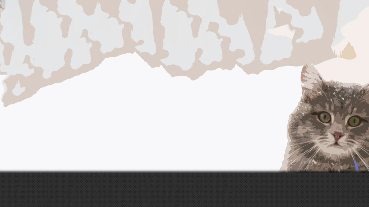 Обои на рабочий стол выглядывающий кот