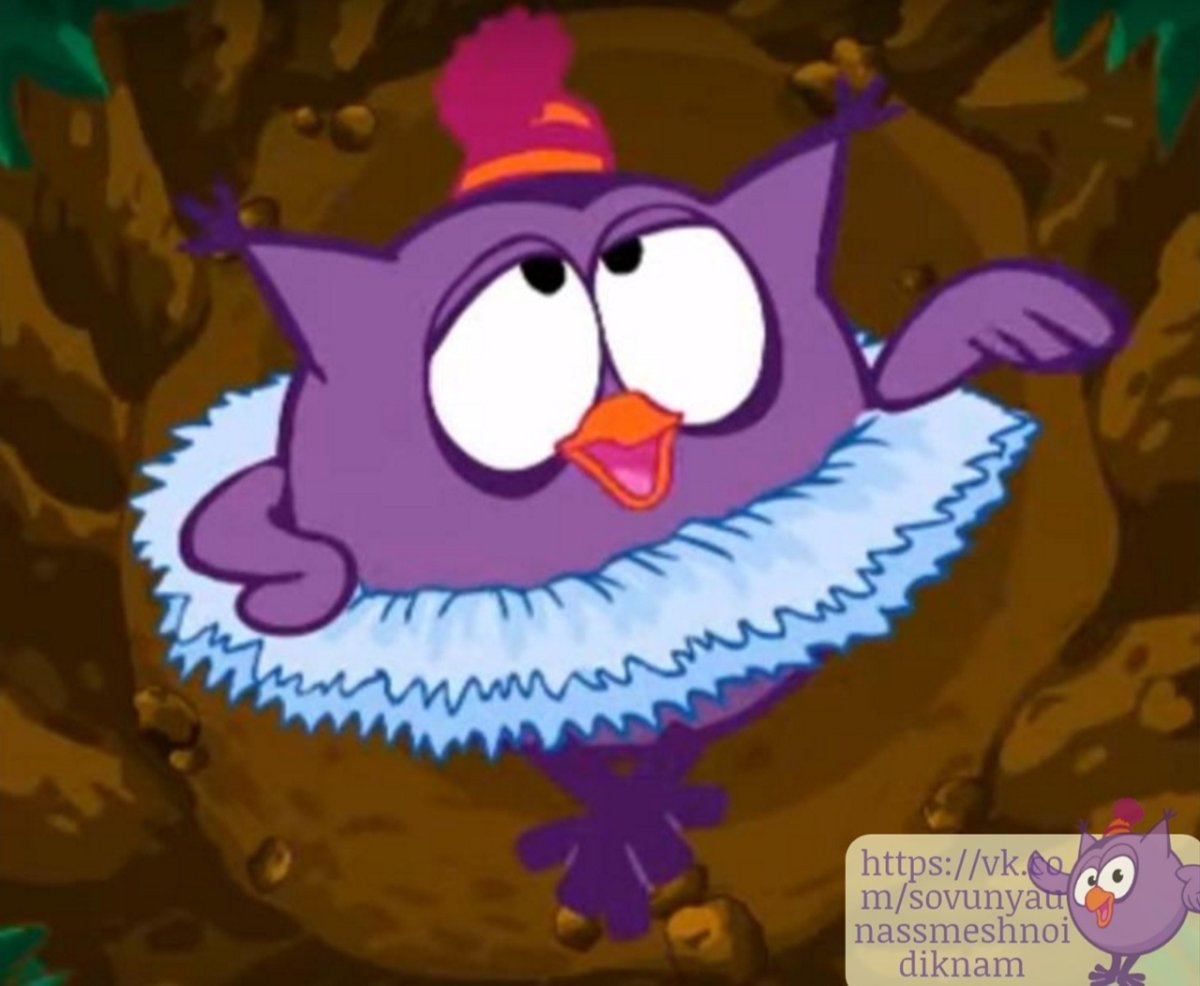 Пин и Совунья