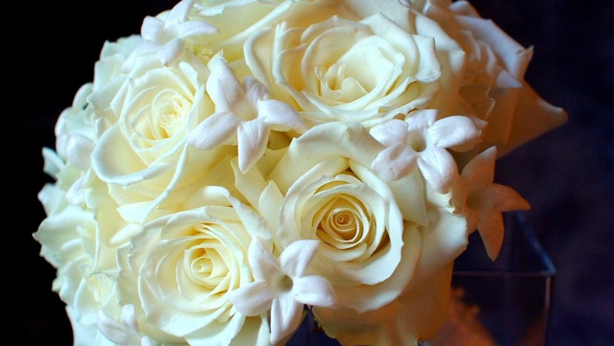 Шикарные кремовые розы