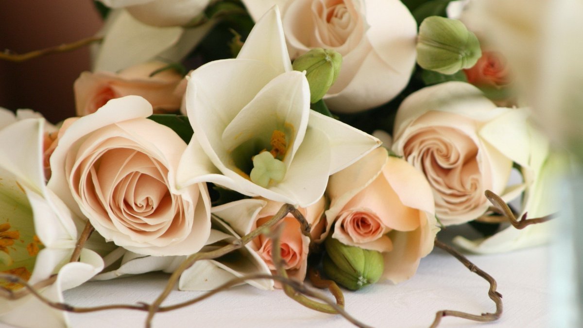 Цветы кремового цвета