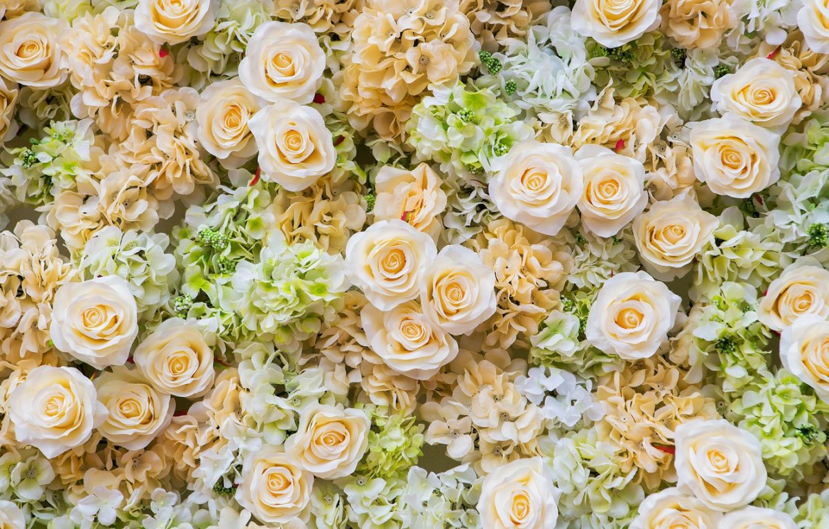 Красивые бежевые цветы