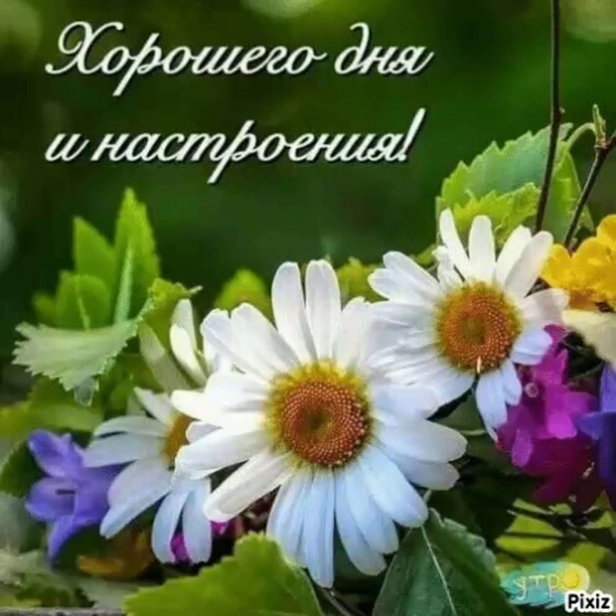 Доброго дня и хорошего настроения