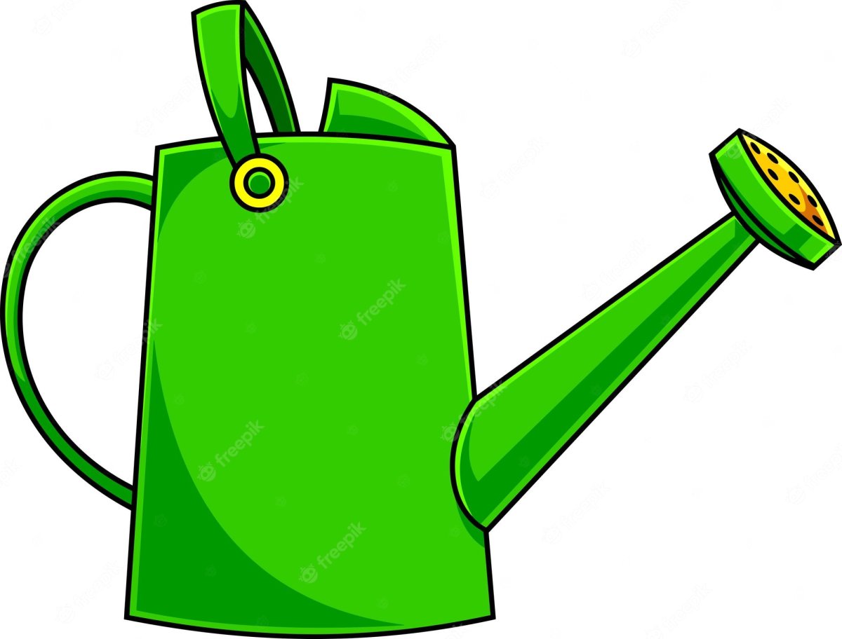 Лейки для детей в детском саду