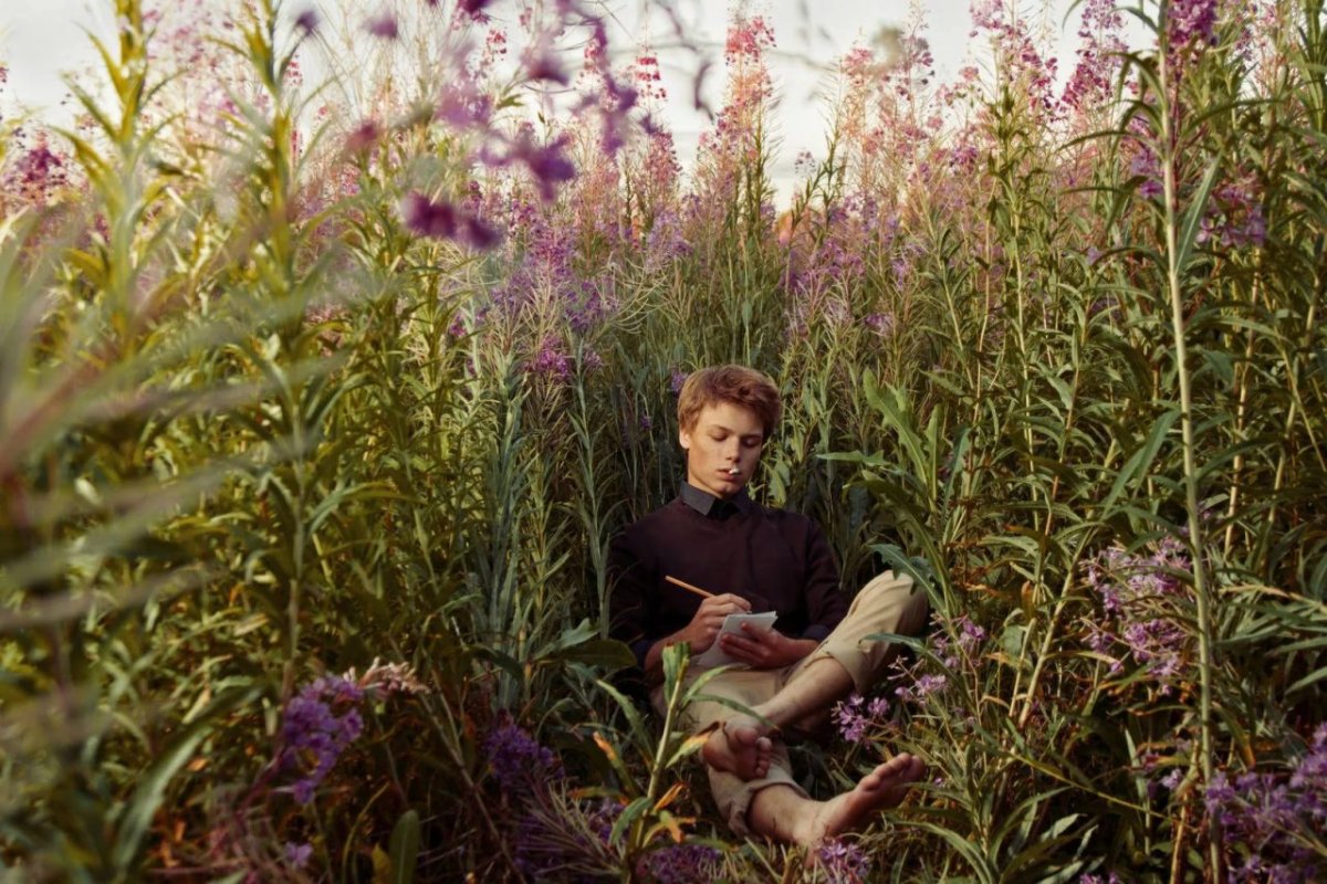 Кипрей производитель Иван чай