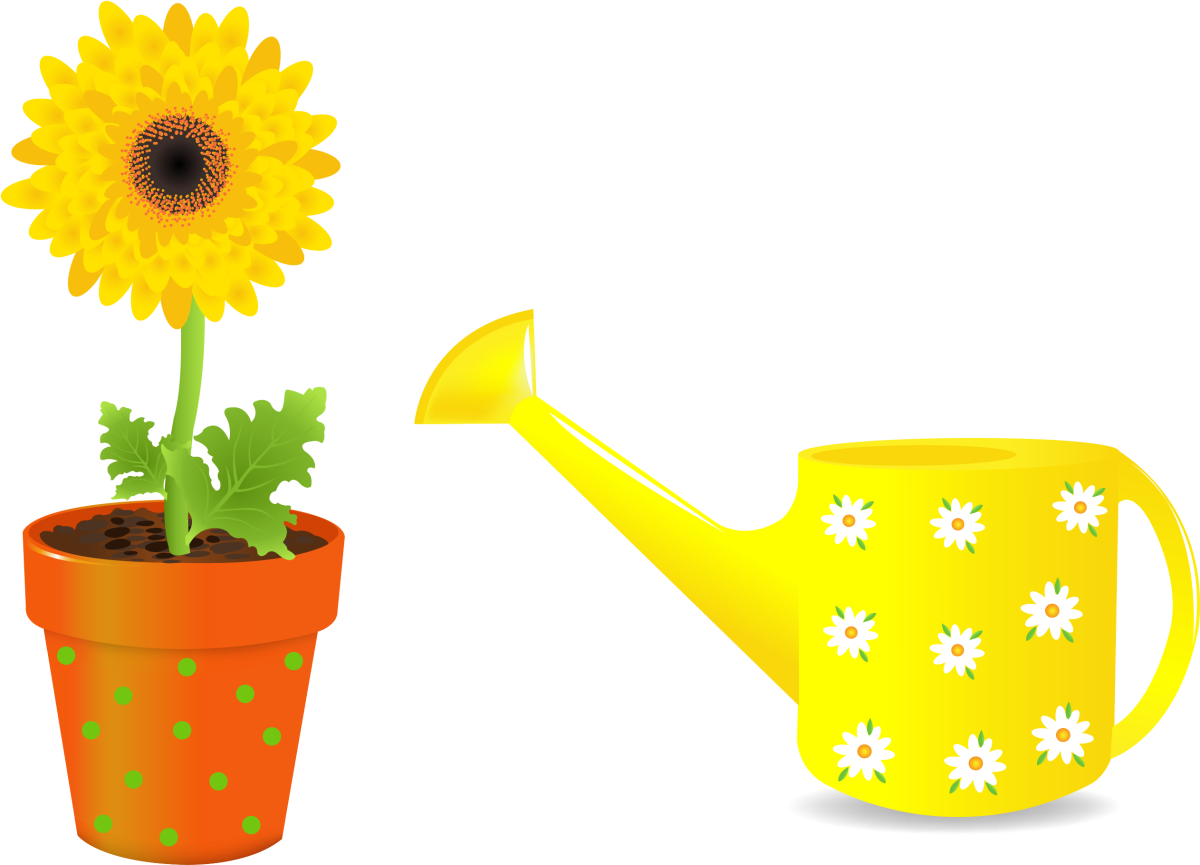 Лейка для детей