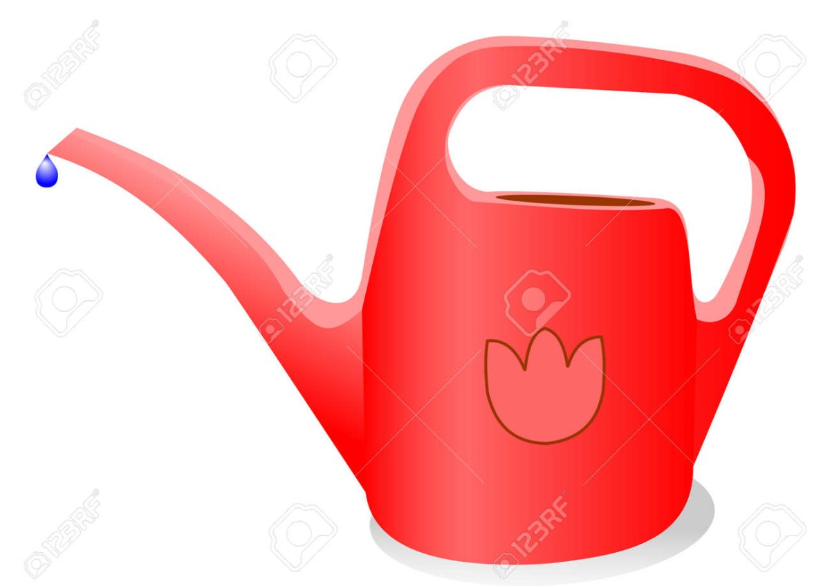 Лейка красивая рисунок