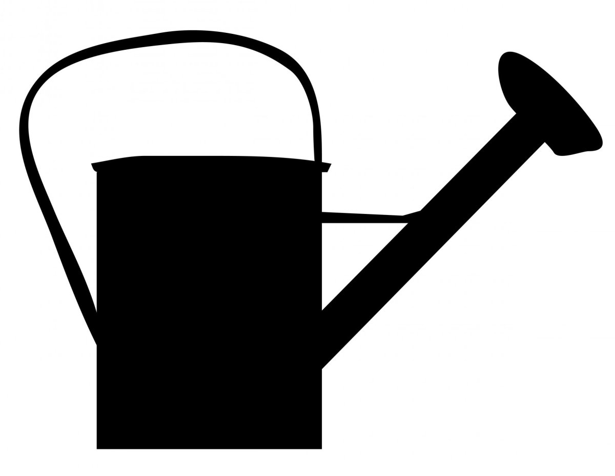 Лейка для детей