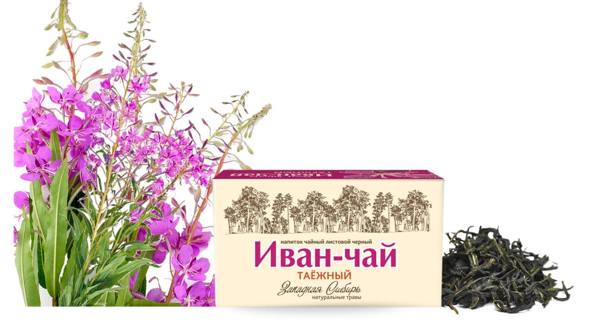 Иван чай крупнолистовой