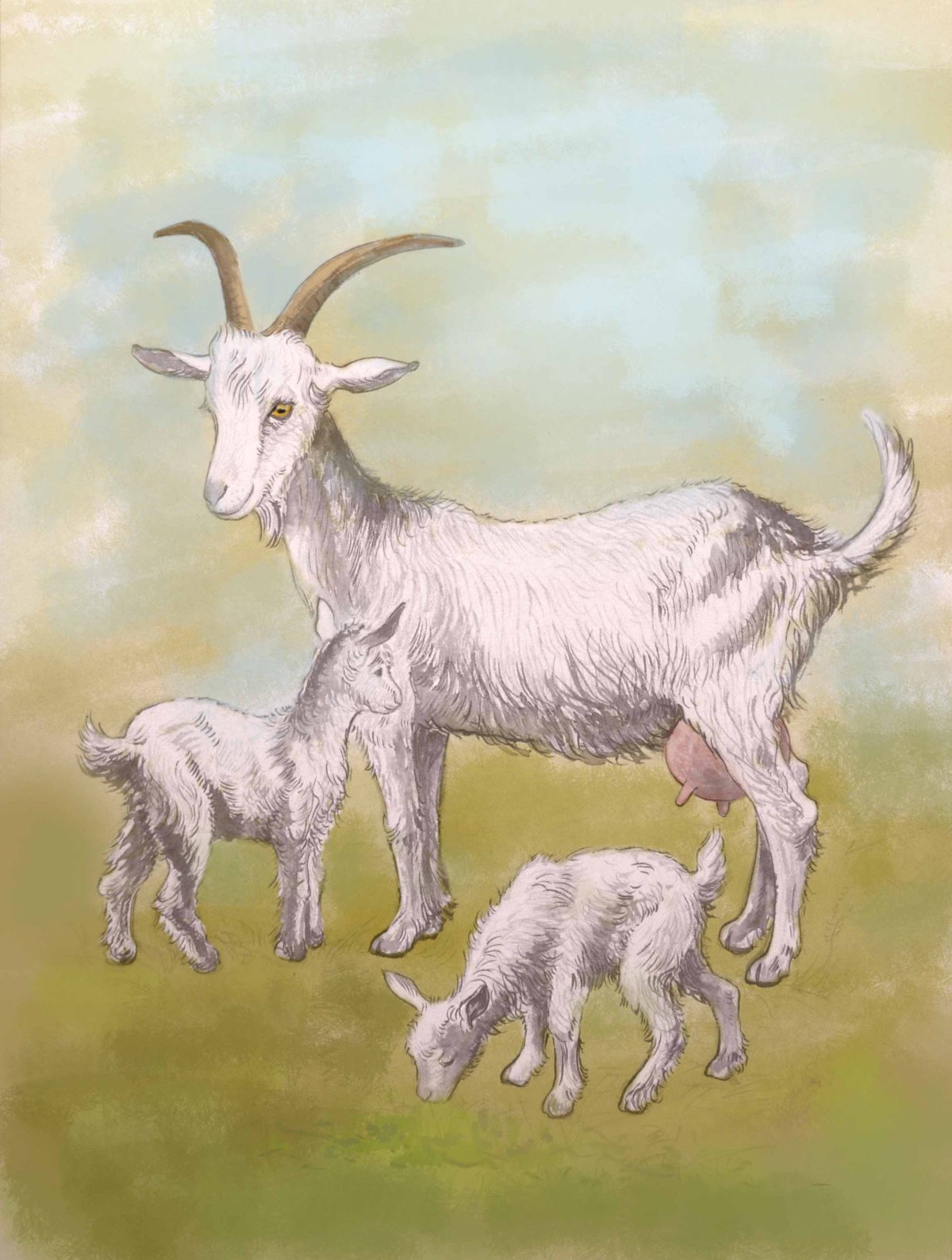 Коза с козлятами