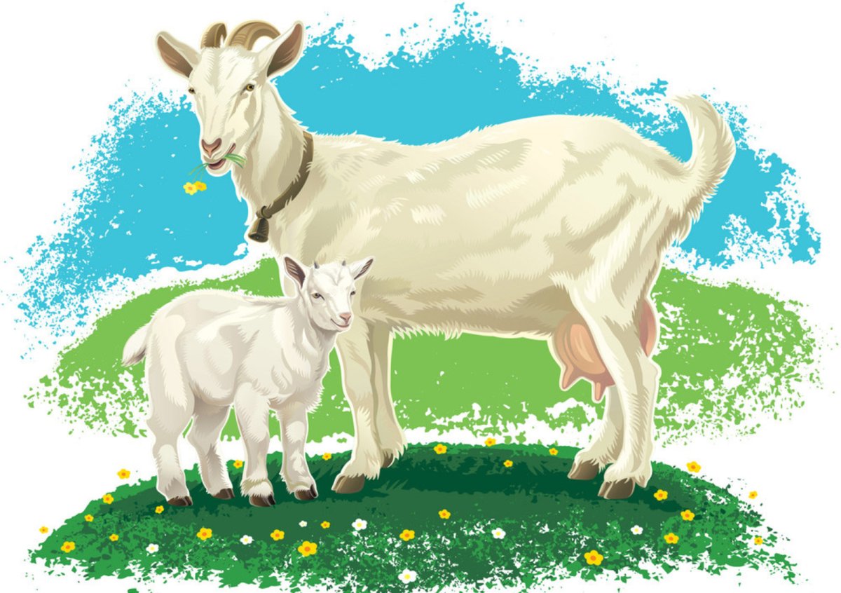 Коза и семеро козлят сказка