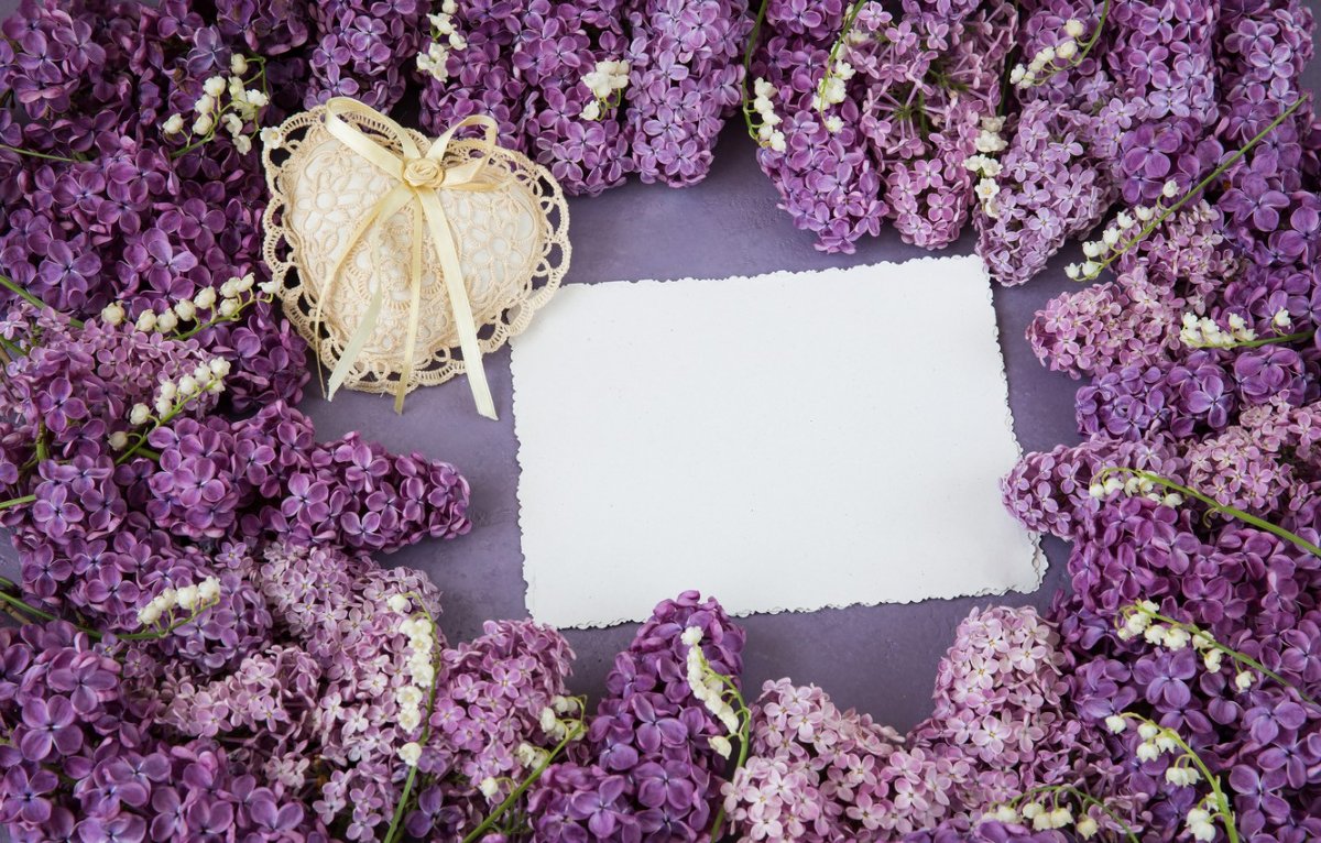 1 Мая сирень