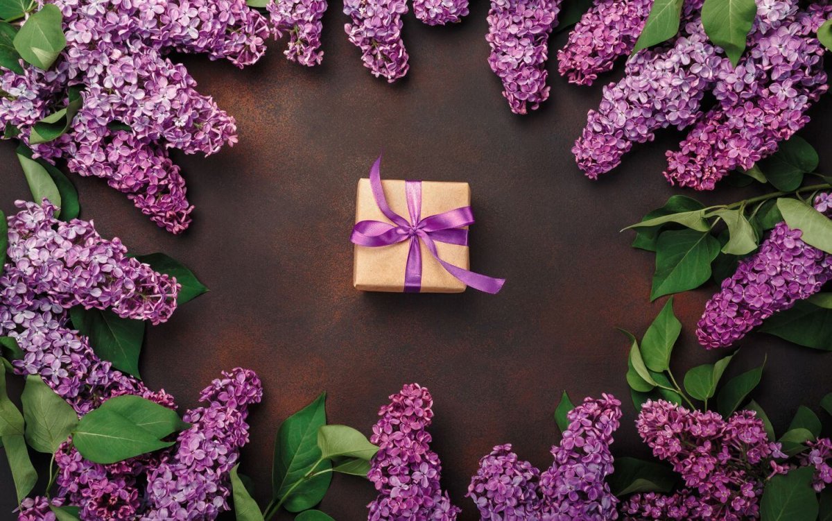 Сирень на рабочий стол