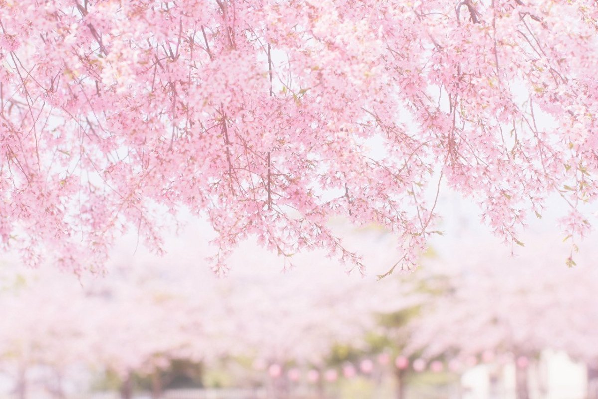 Картины в японском стиле