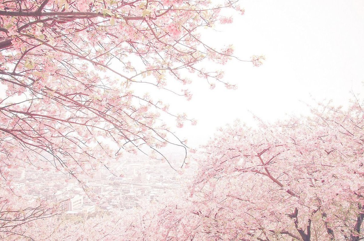 Фон Япония для фотошопа