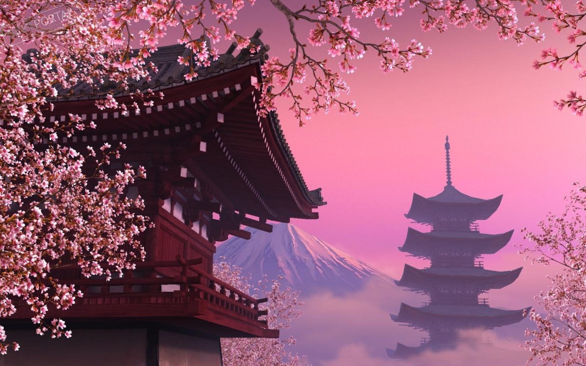 Сакура черри блоссом фон