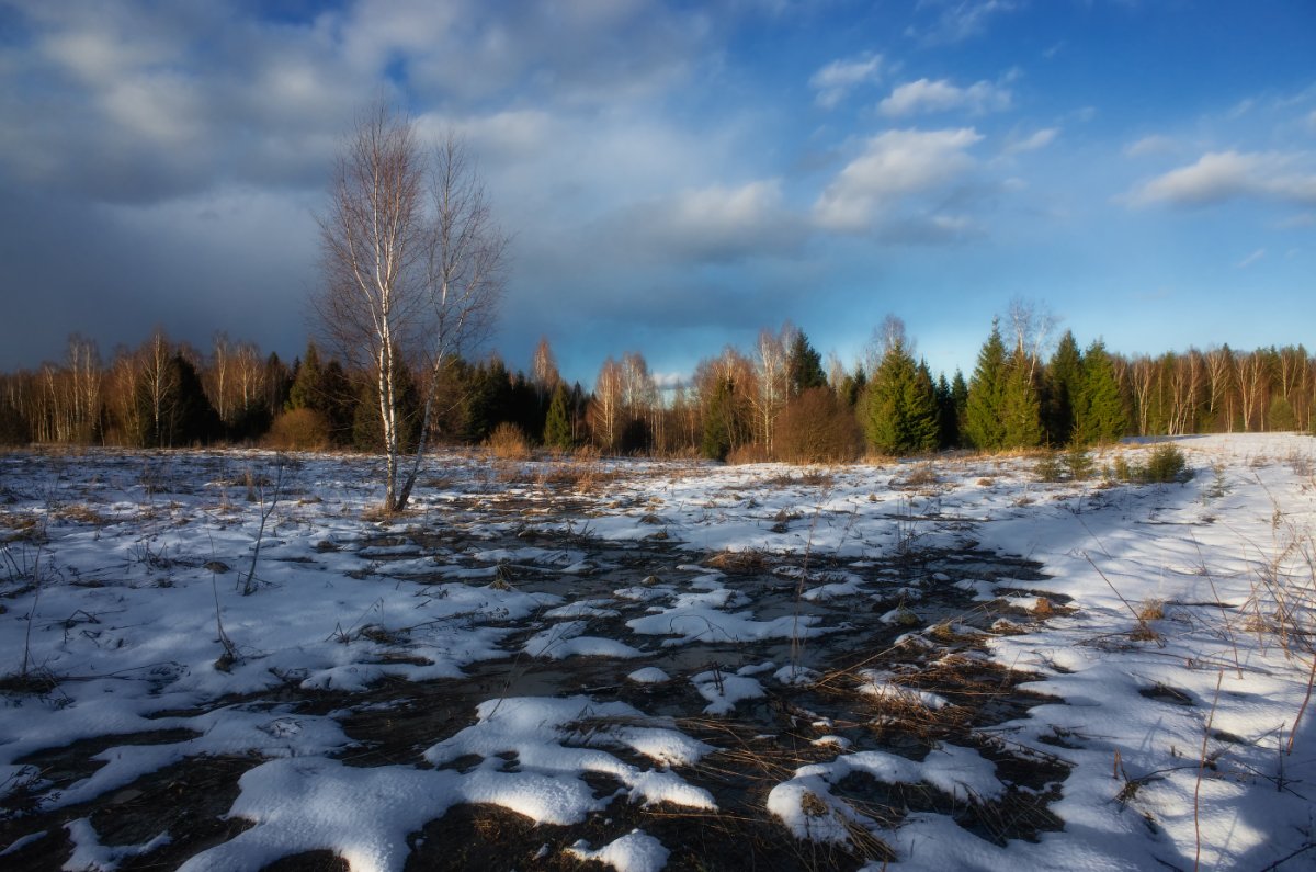 Весна проталины
