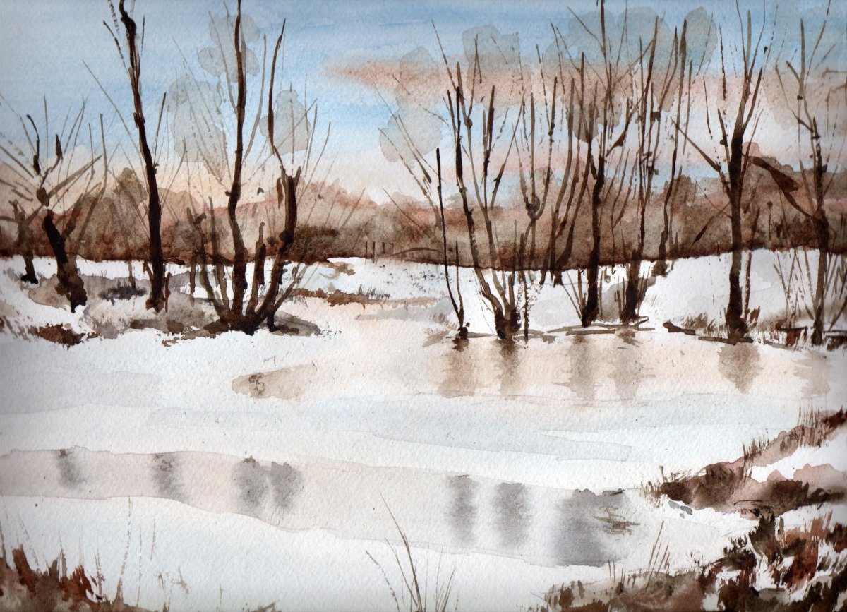 Верба ранней весной