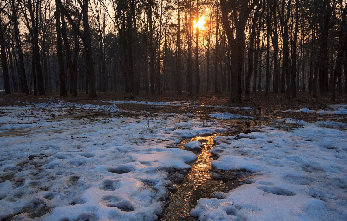 Апрельские проталинки