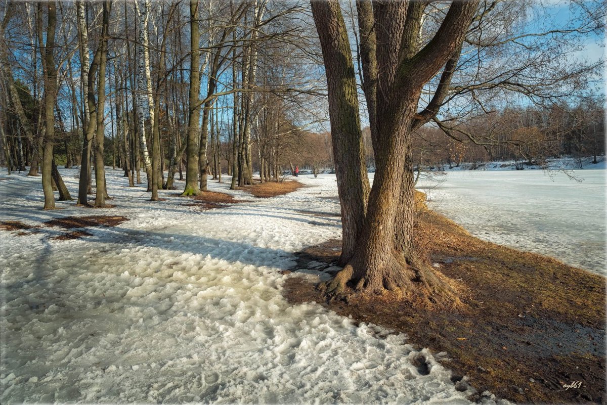 Парк ранней весной