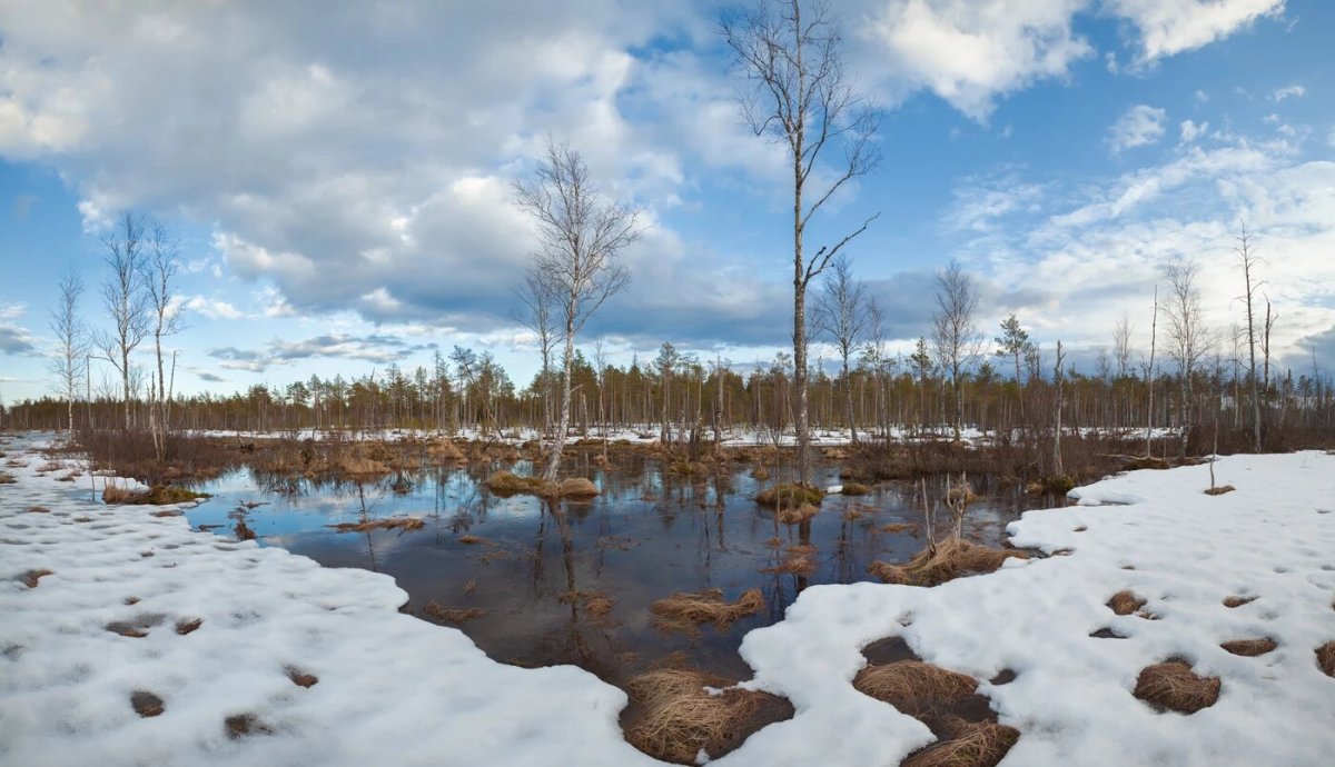Весенние проталины