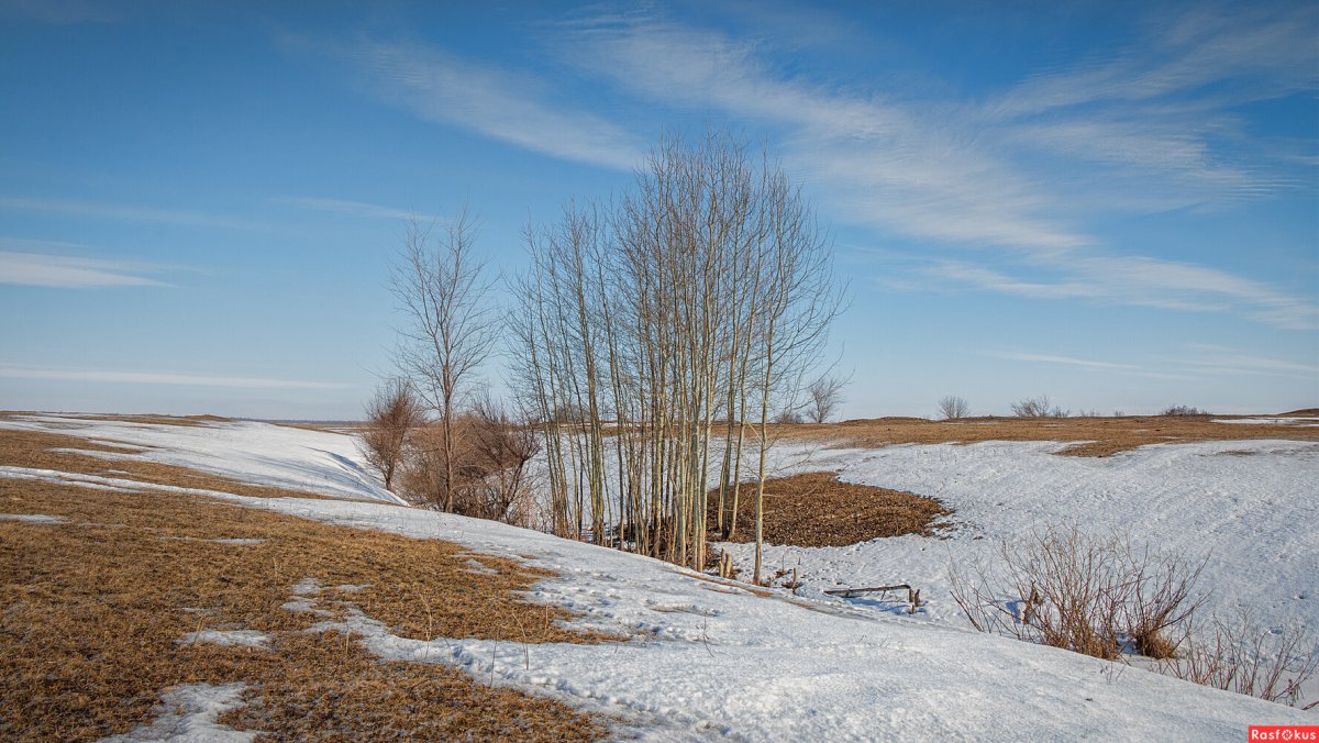 Весна проталины подснежники природа