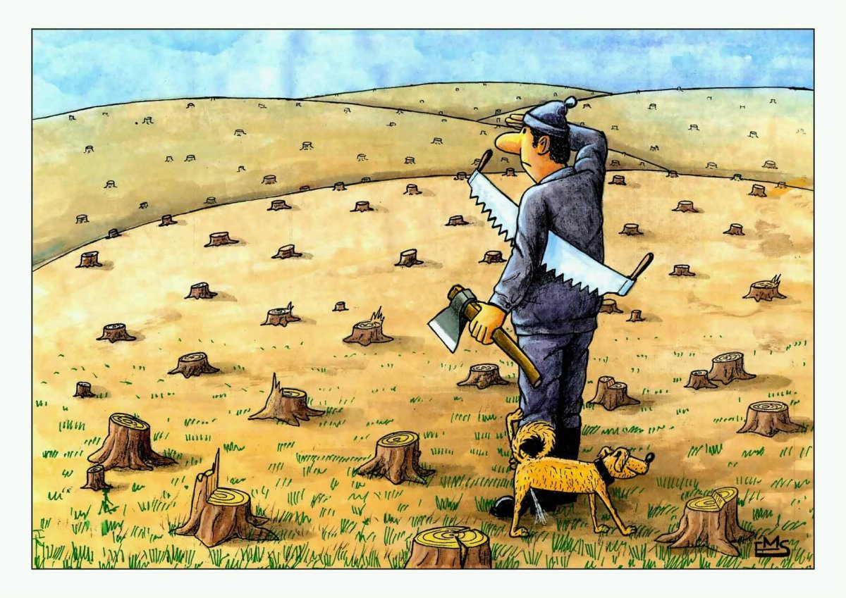 Вырубка лесов карикатура