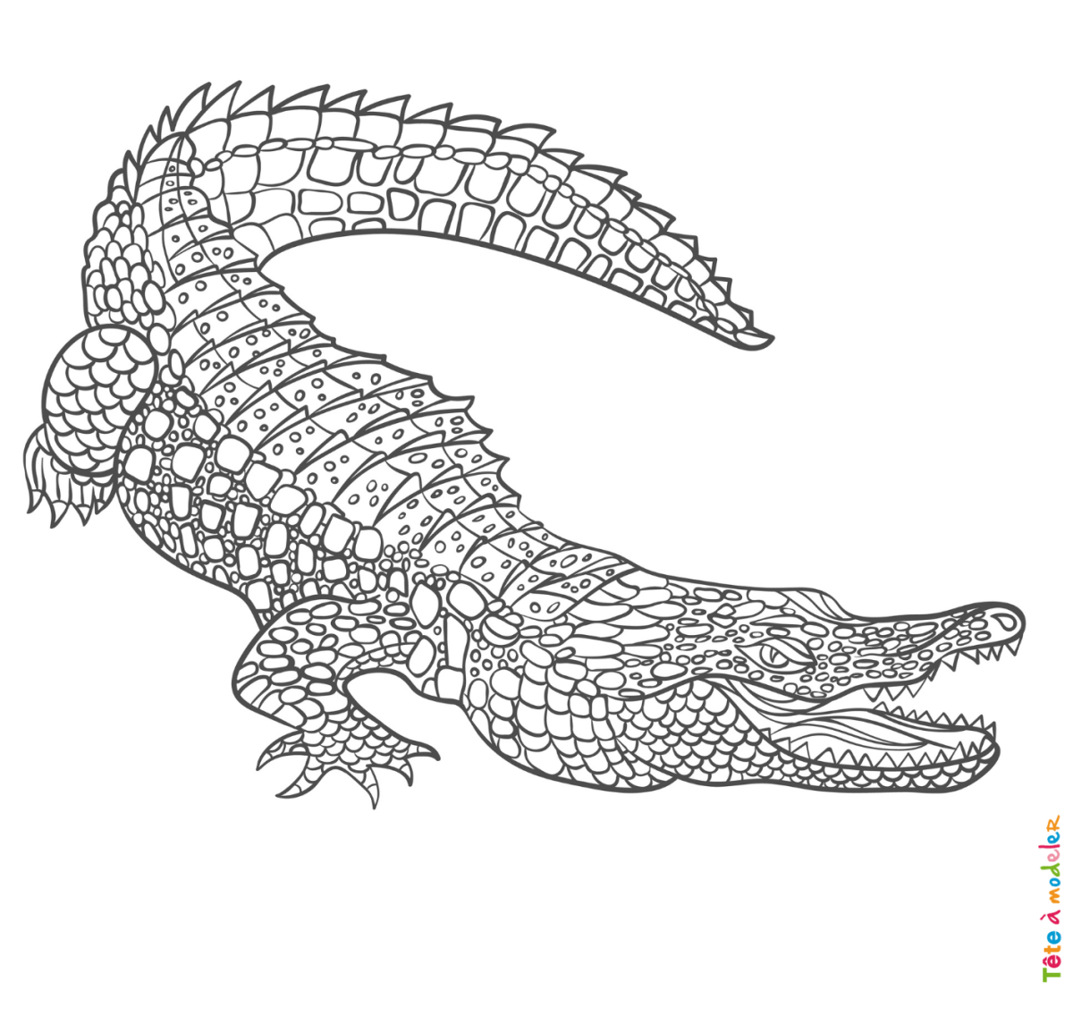 Крокодил Векторная Графика