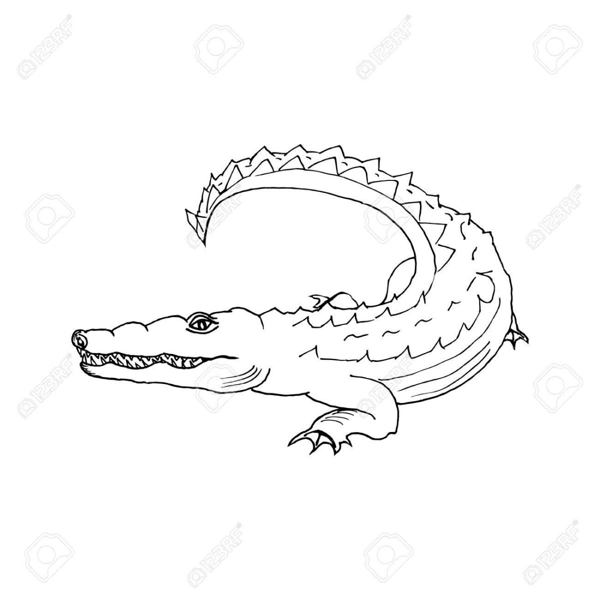 Крокодил раскраска тату