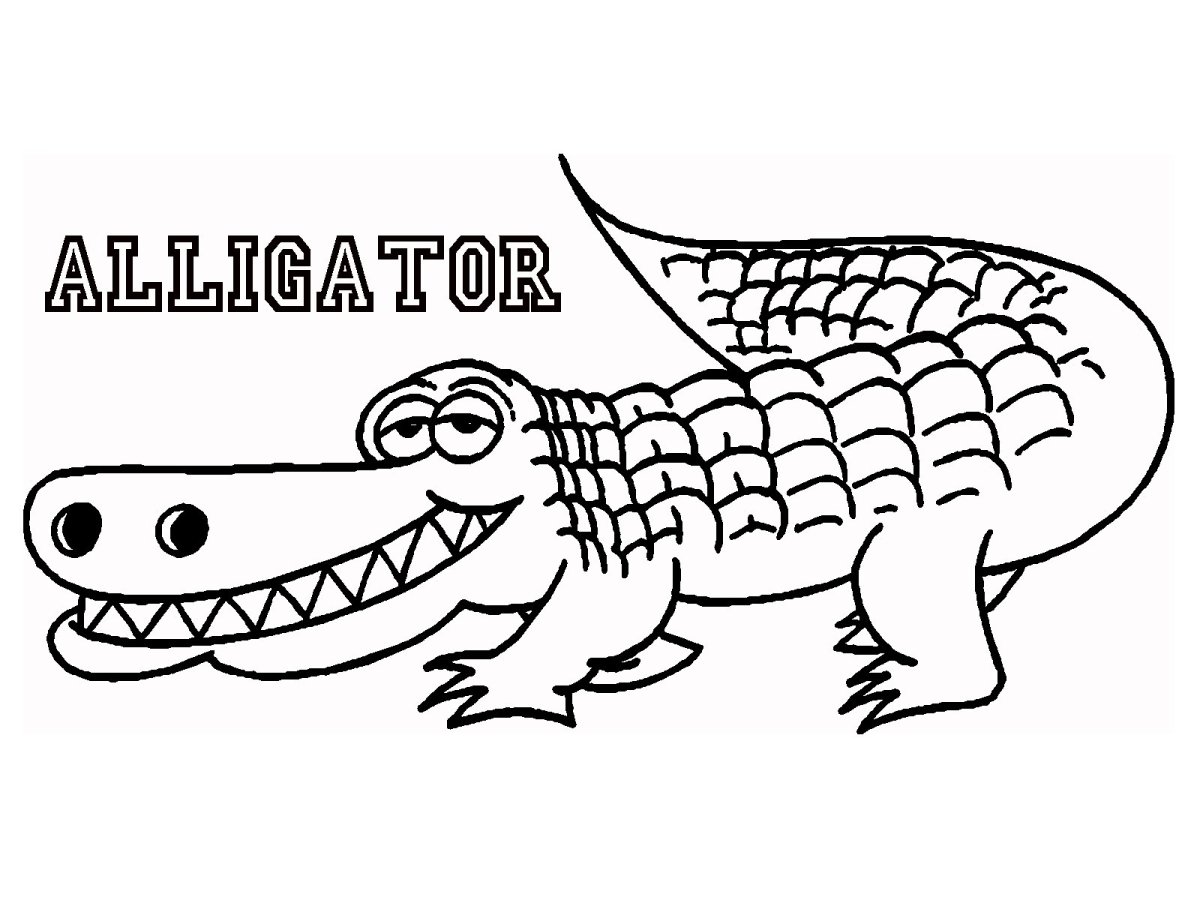 Alligator раскраска