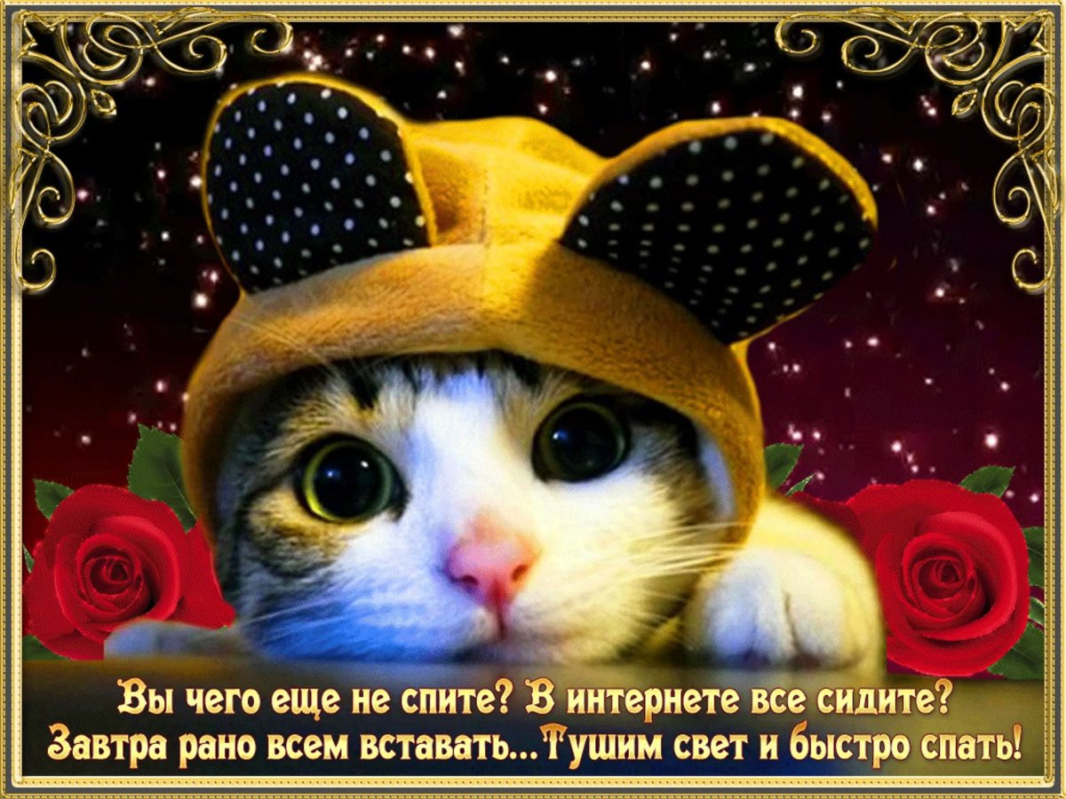 Люблю спать