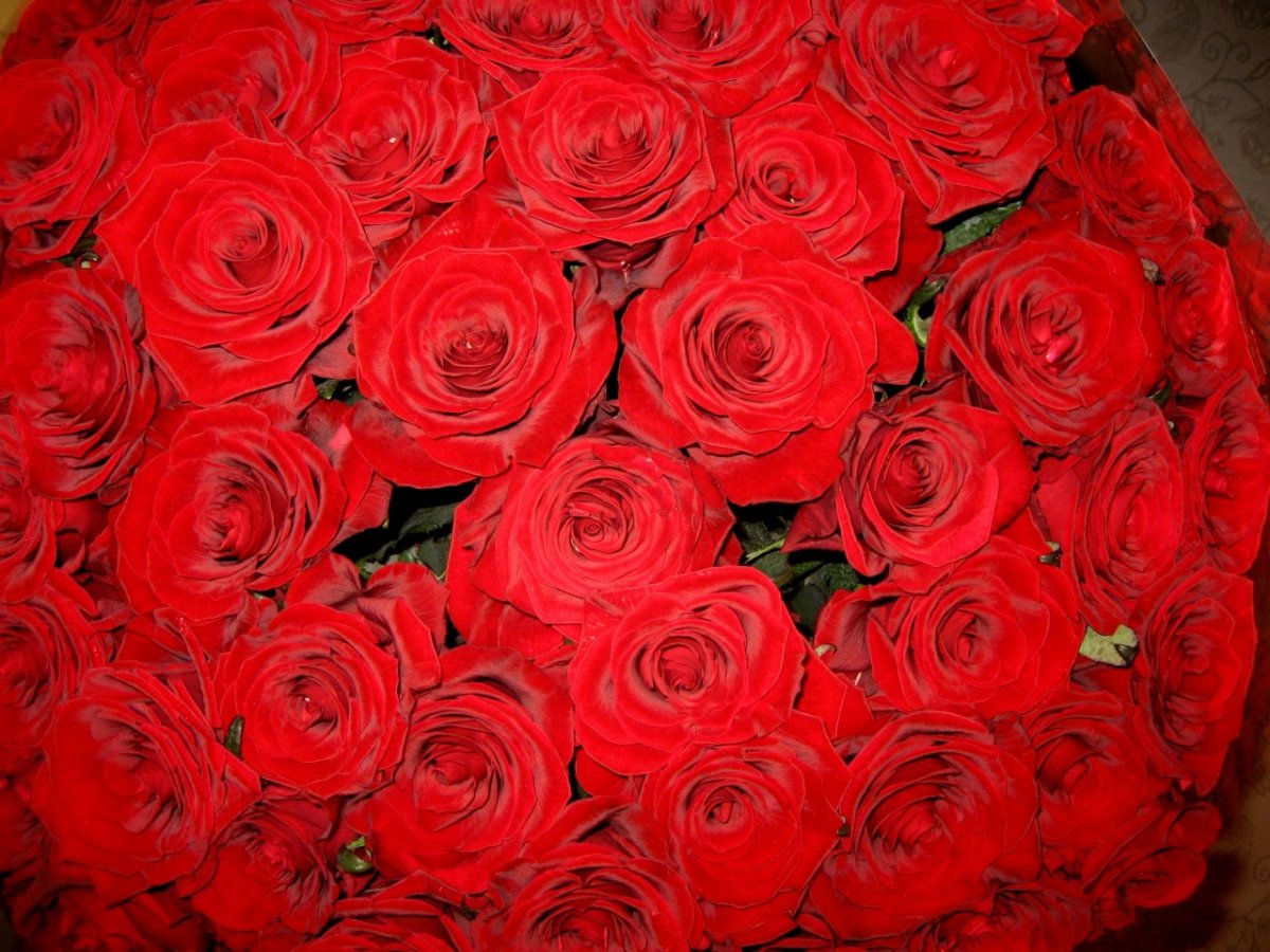 Миллион алых роз