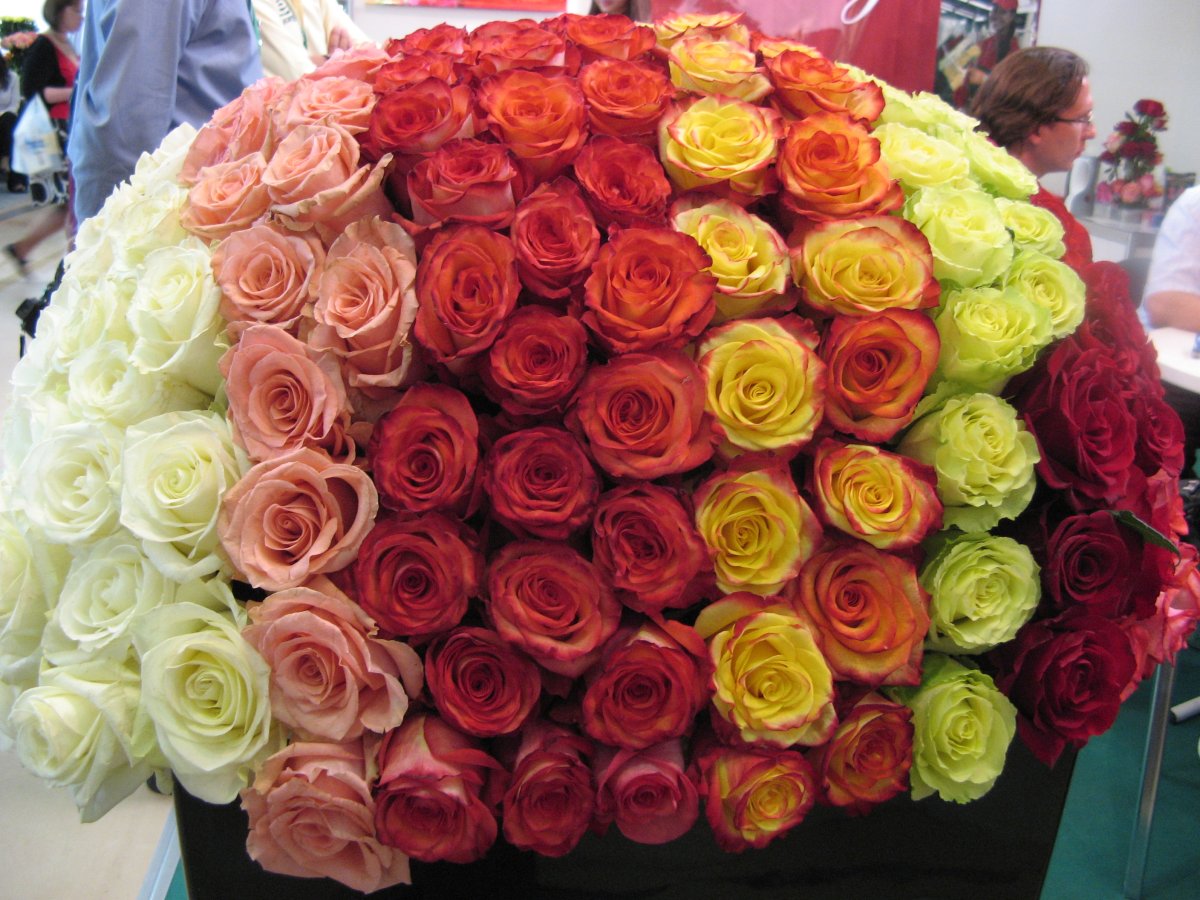 Миллион роз красивый букет
