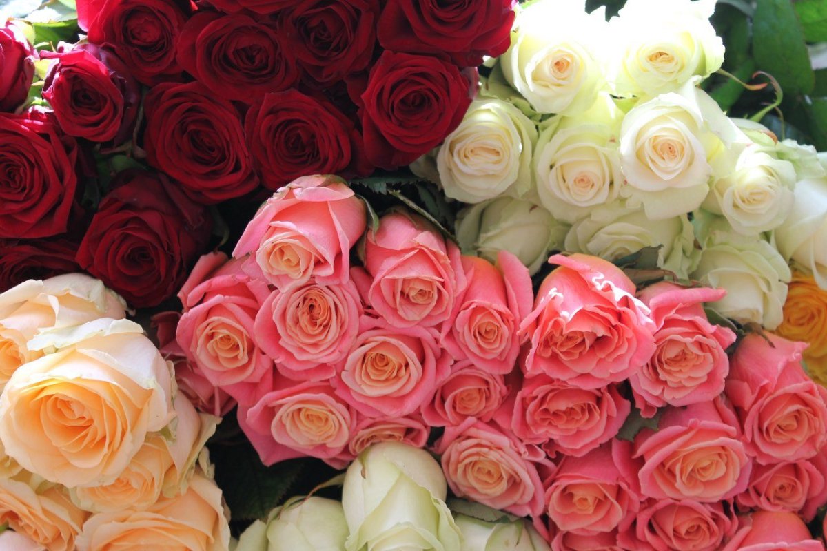 Наталья Витряк Нефтеюганск