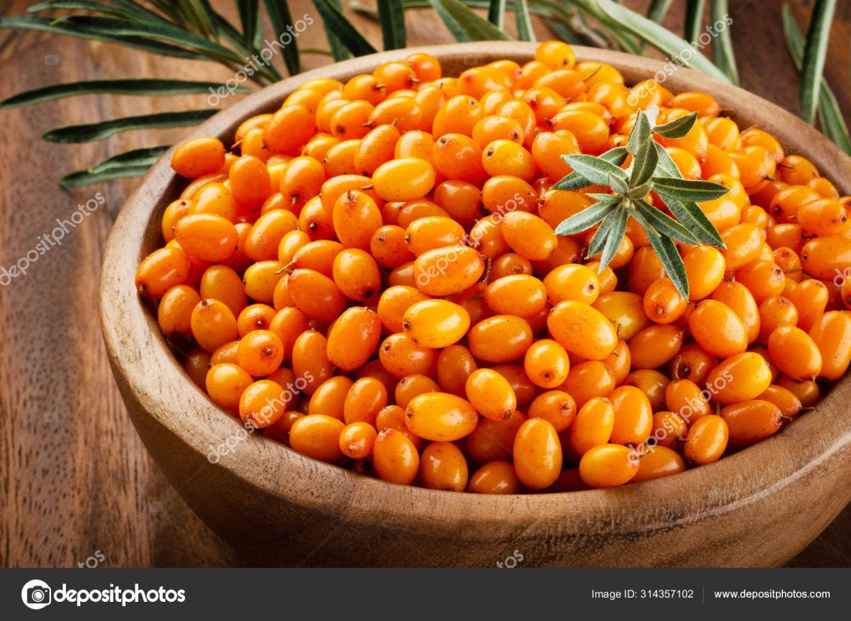 Шиповник клюква облепиха