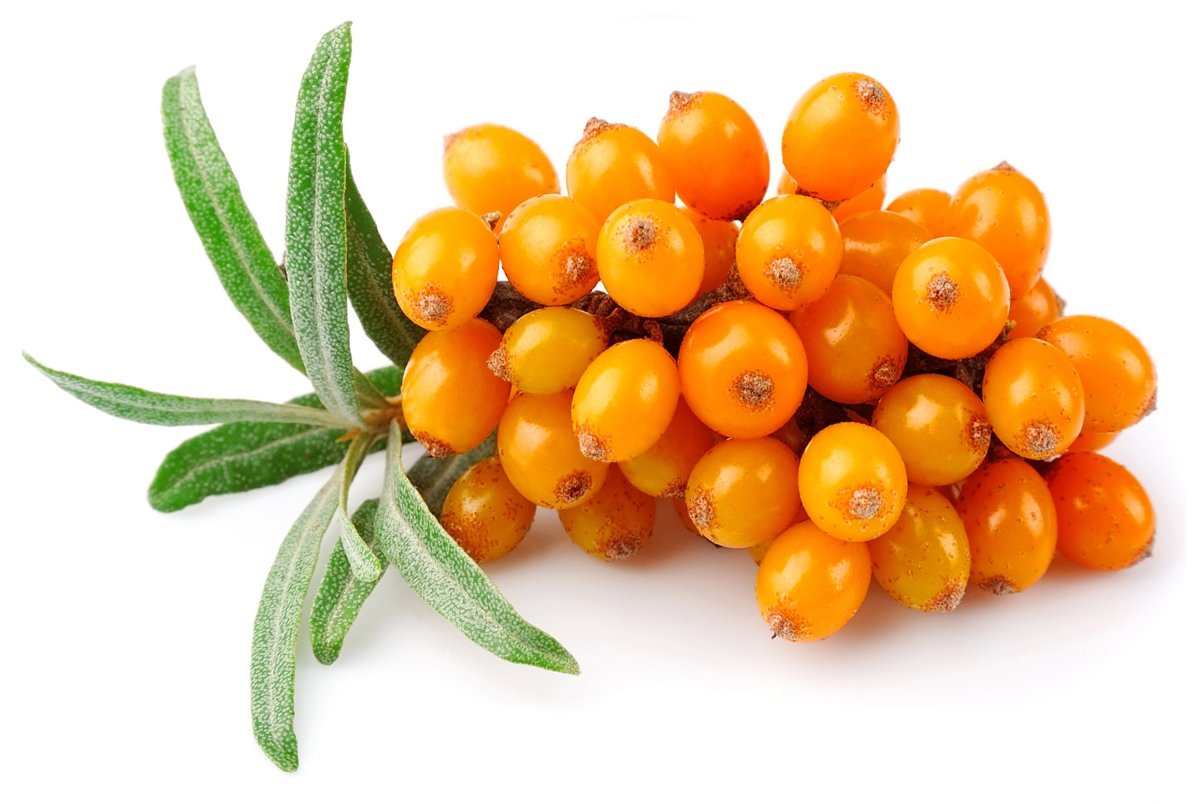 Варенье из облепихи