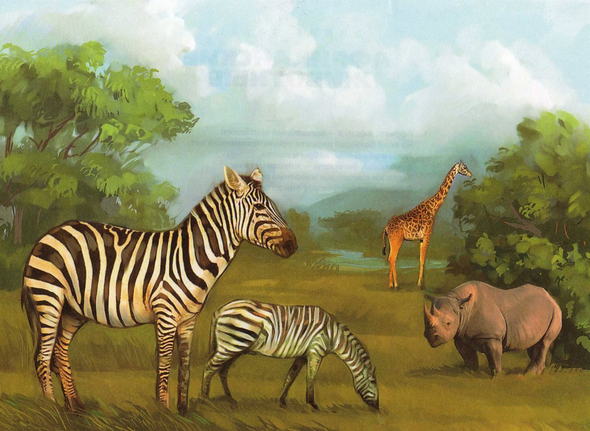 Животные Африки для детей