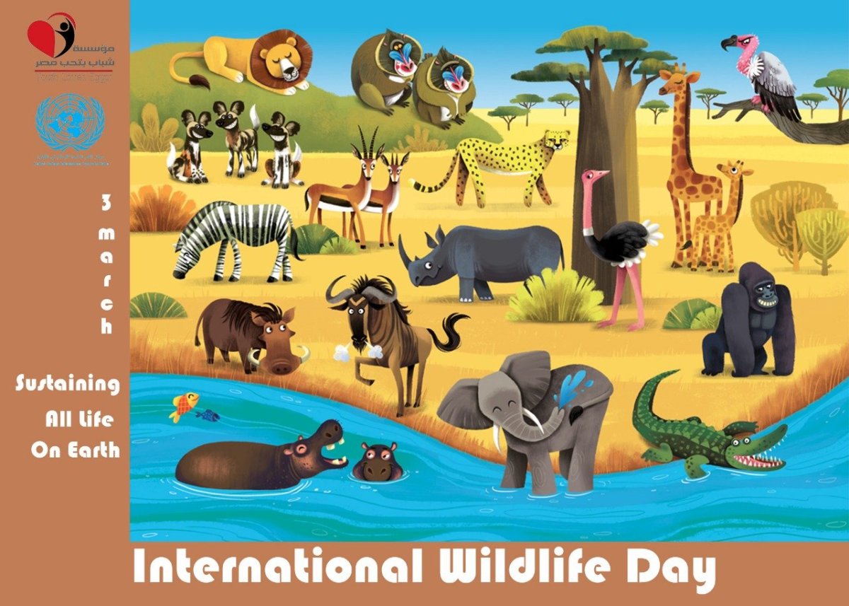 Африка для дошкольников