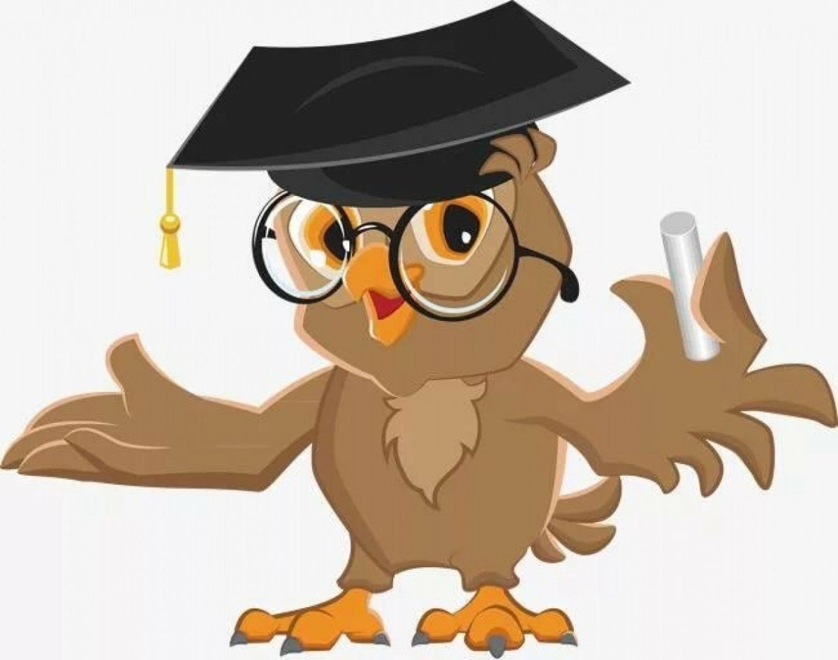 Сова учитель