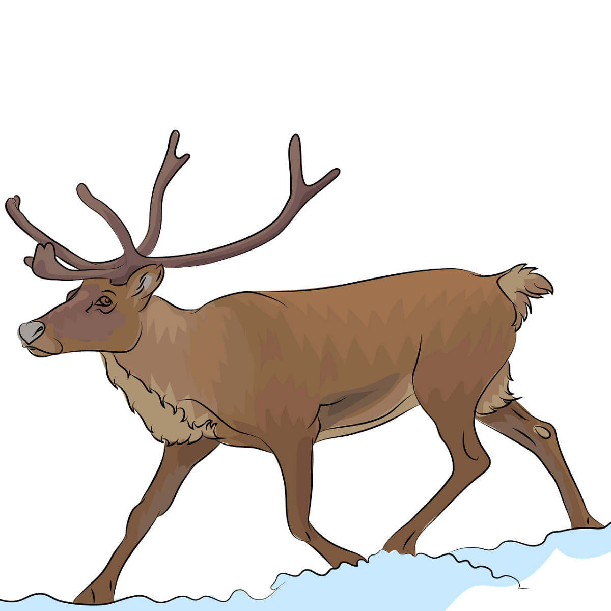 Северный олень картинка для детей
