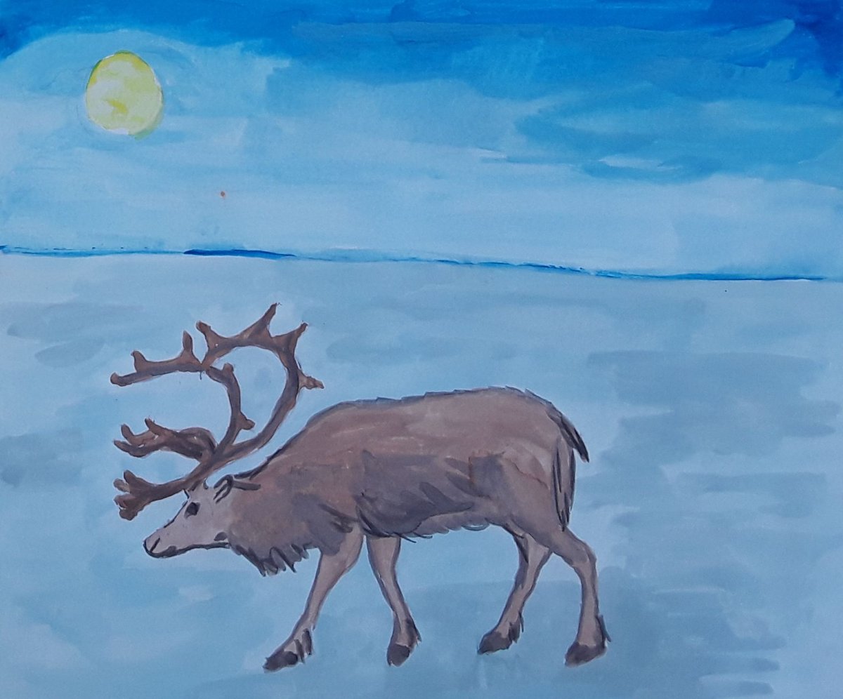 Рисование животных севера