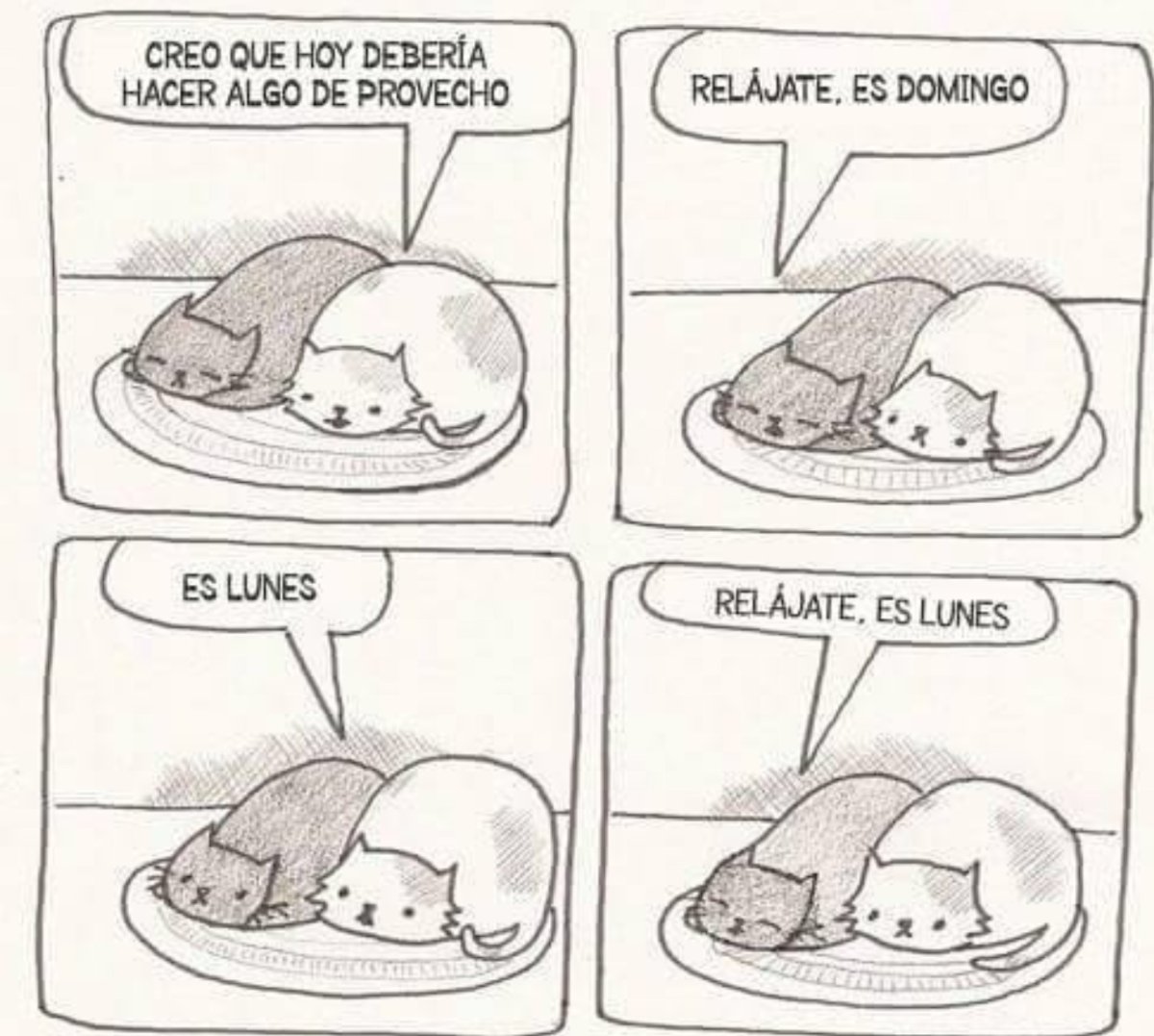 Мемы про понедельник