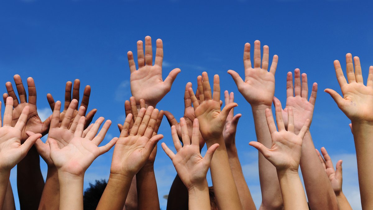 Международное волонтерское движение