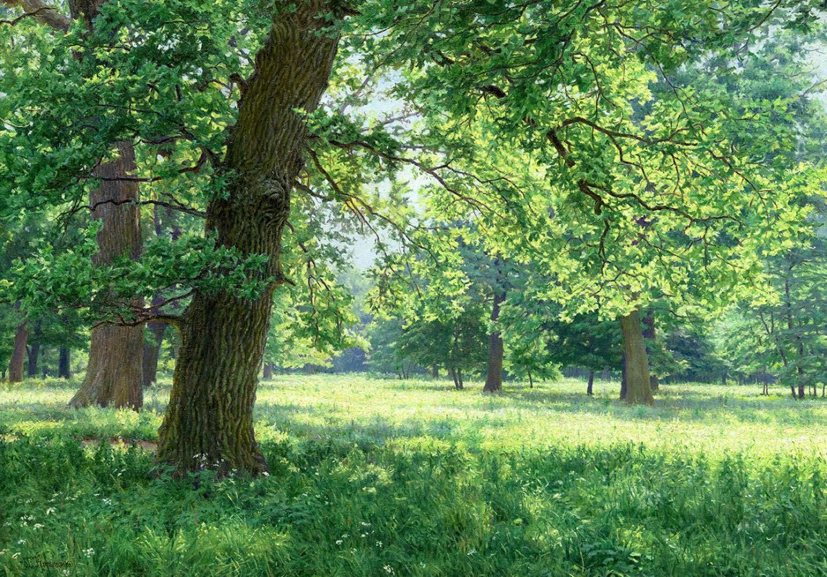 Дубовая роща Дагестан