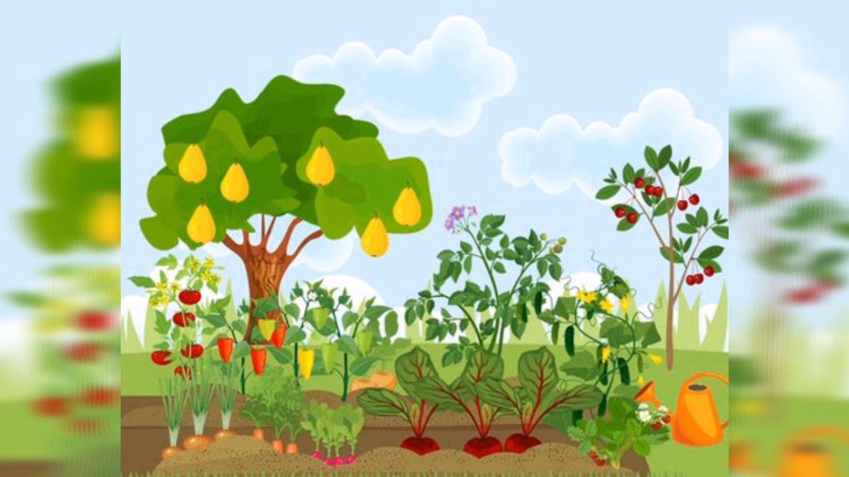 Дерево яблоня на прозрачном фоне