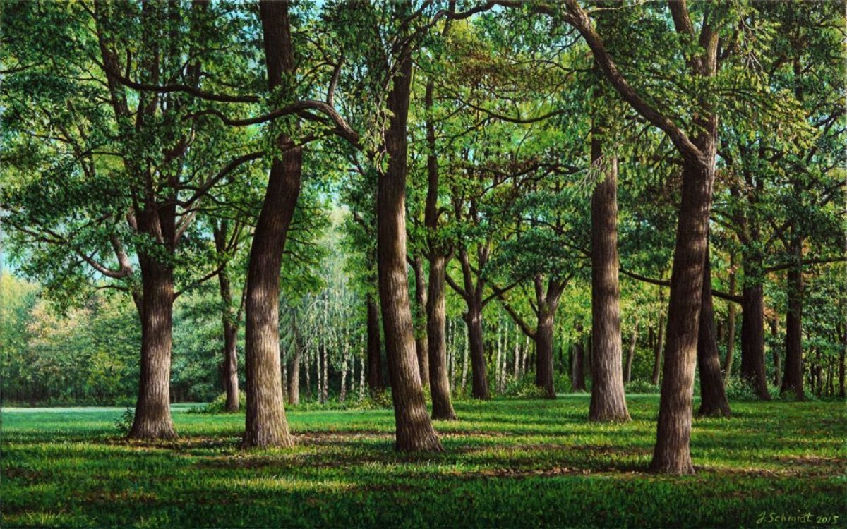 Дубовая роща