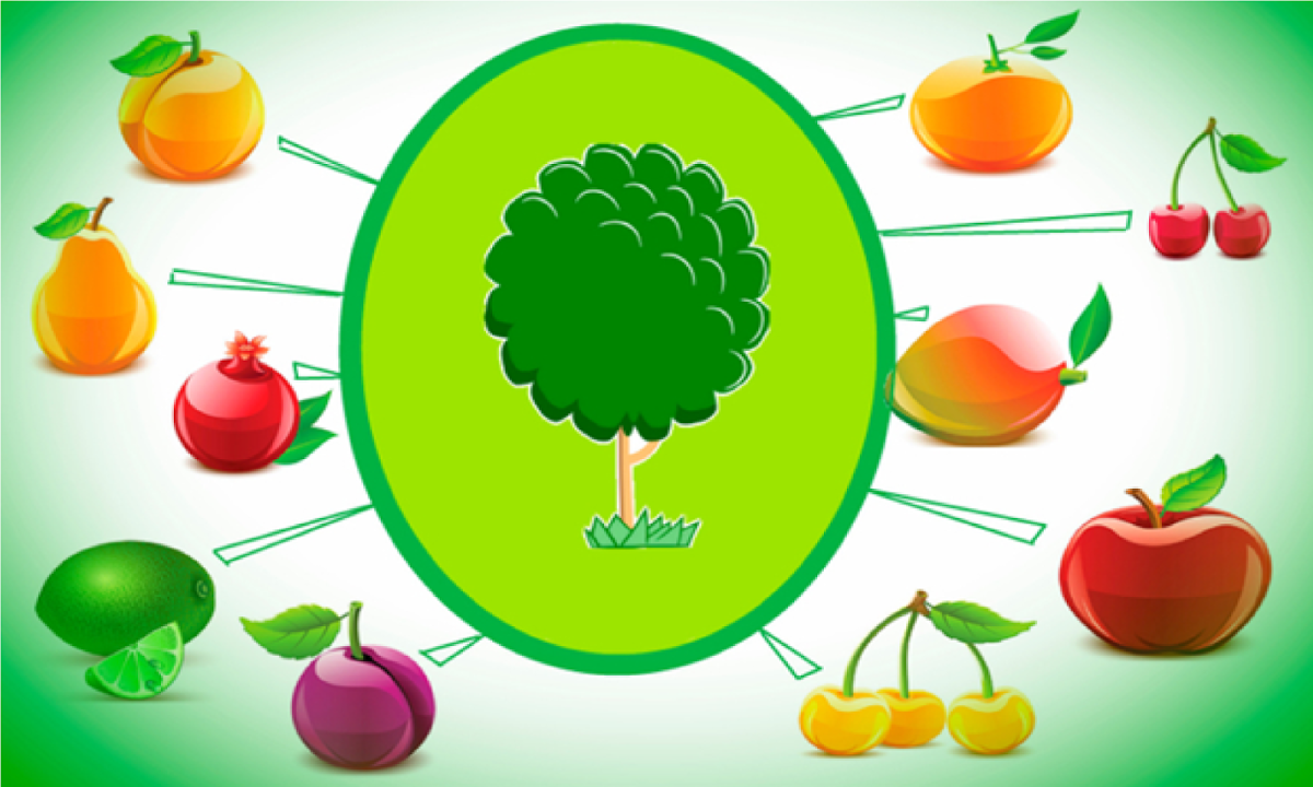 Лото что где растет в саду