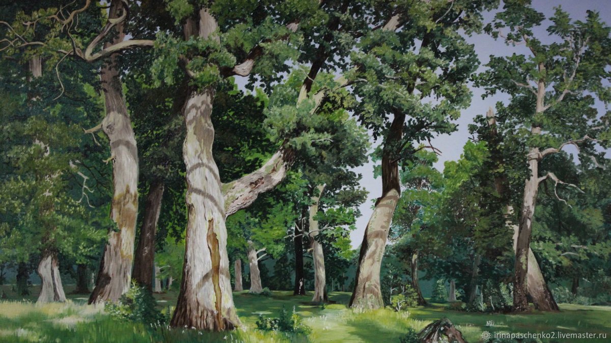 Шишкин дубовая роща