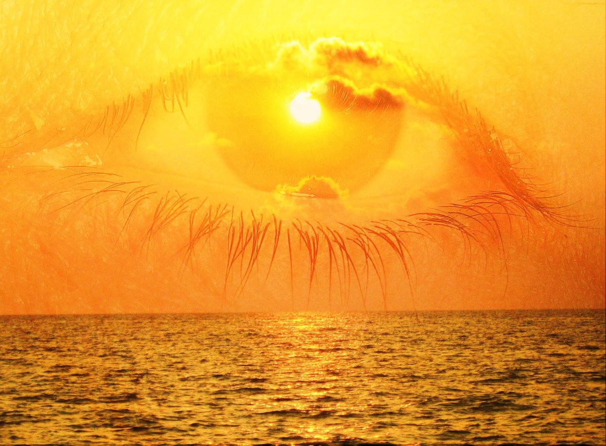 Подсолнухи на зеленом фоне