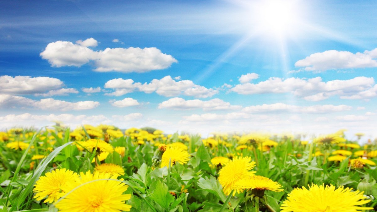 Жёлтый карлик звезда