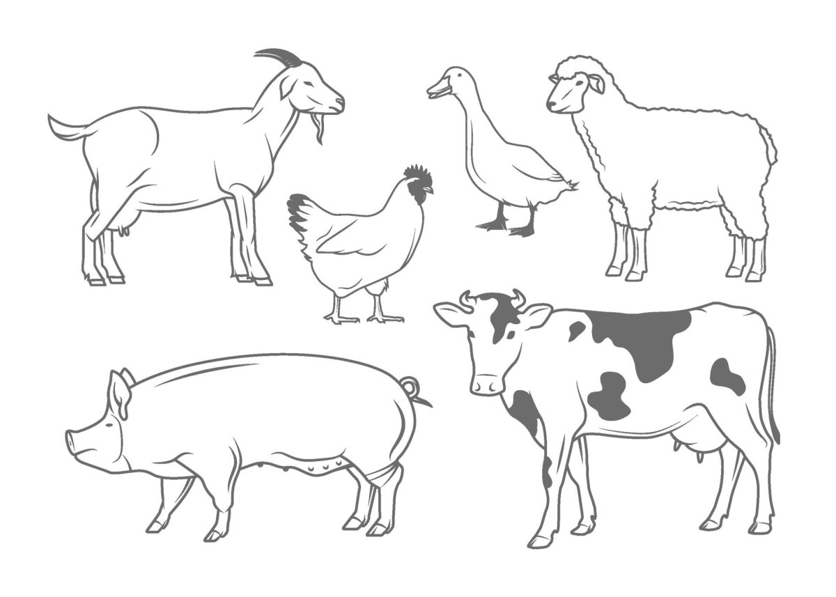 Дикие животные раскраска на одном листе
